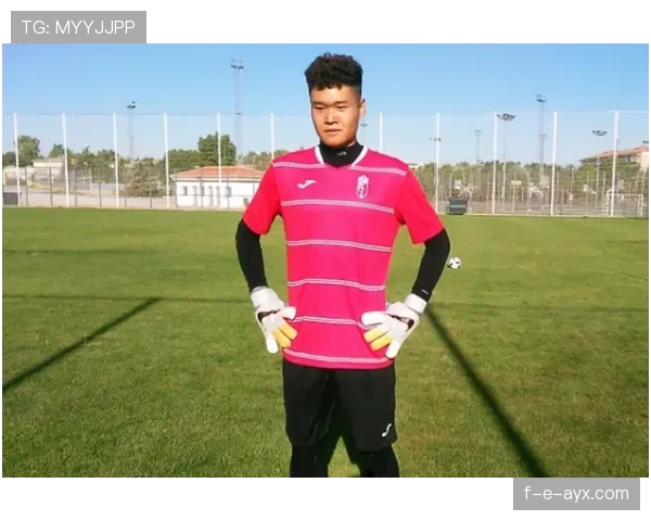 新赛季战火重燃，豪门劲旅迎战黑马新锐