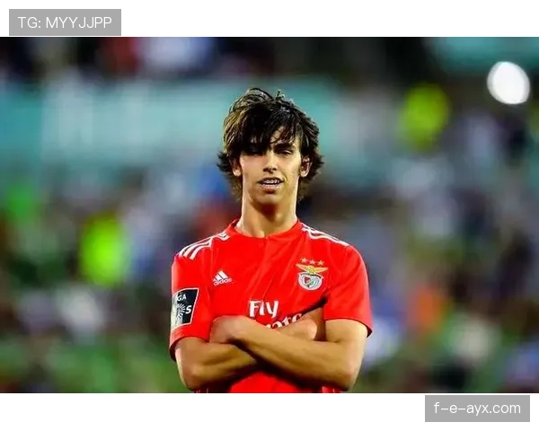 本菲卡公布未来发展战略:青训体系升级与全球布局同步推进 本菲卡公布未来发展战略:青训体系升级与全球布局同步推进